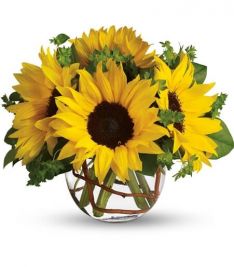 Sunny Sunflowers